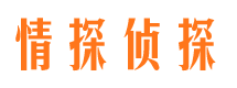 延川侦探